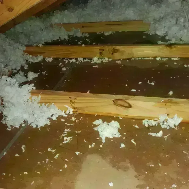 Attic Water Damage in Ranchettes, WY