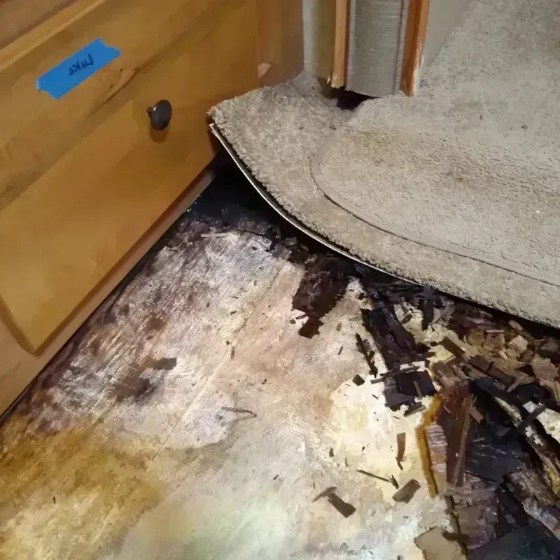 Wood Floor Water Damage in Ranchettes, WY